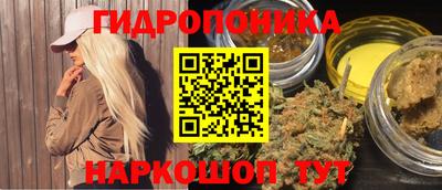 шишки Можга