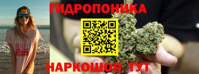 ГАЛЛЮЦИНОГЕННЫЕ ГРИБЫ Моздок