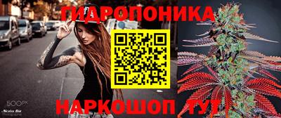 шишки Можга
