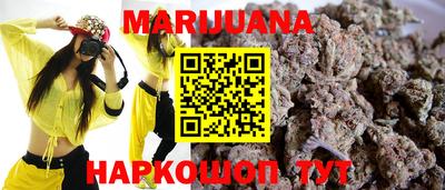шишки Можга
