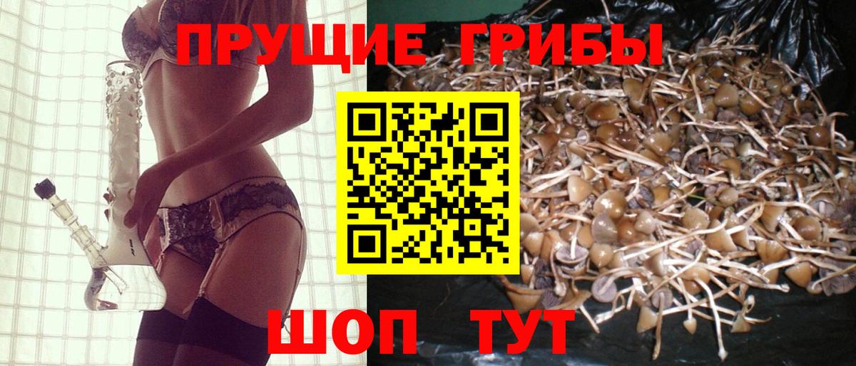 Псилоцибиновые грибы ЛСД Усинск