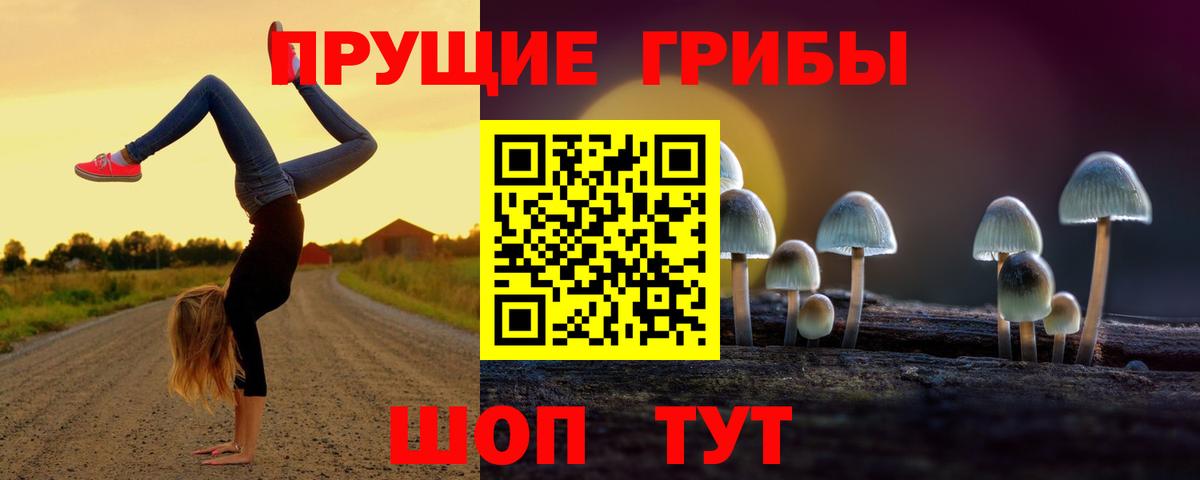 Псилоцибиновые грибы Cubensis  Вход с VPN  Усинск 